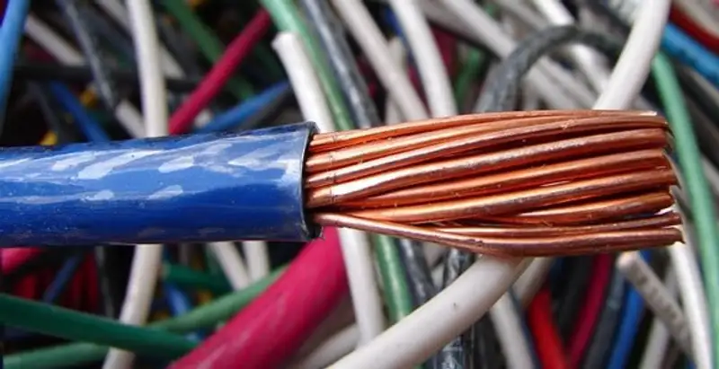 electrical wiring services showing exposed copper conductors and cable preparation in Overland Park, KS